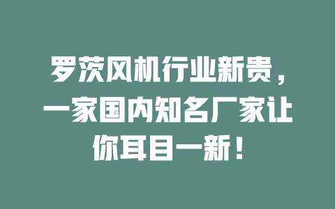 羅茨風(fēng)機(jī)行業(yè)新貴,一家國(guó)內(nèi)知名廠家讓你耳目一新! 一