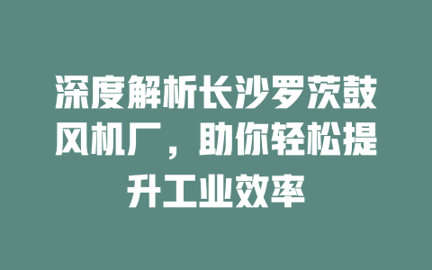 深度解析長(zhǎng)沙羅茨鼓風(fēng)機(jī)廠,助你輕松提升工業(yè)效率 一